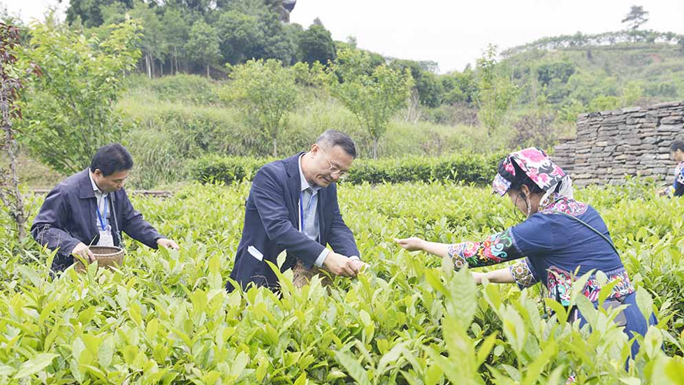 海外華文媒體聚焦山西萬榮：挖掘黃河文化 傳承農耕文明