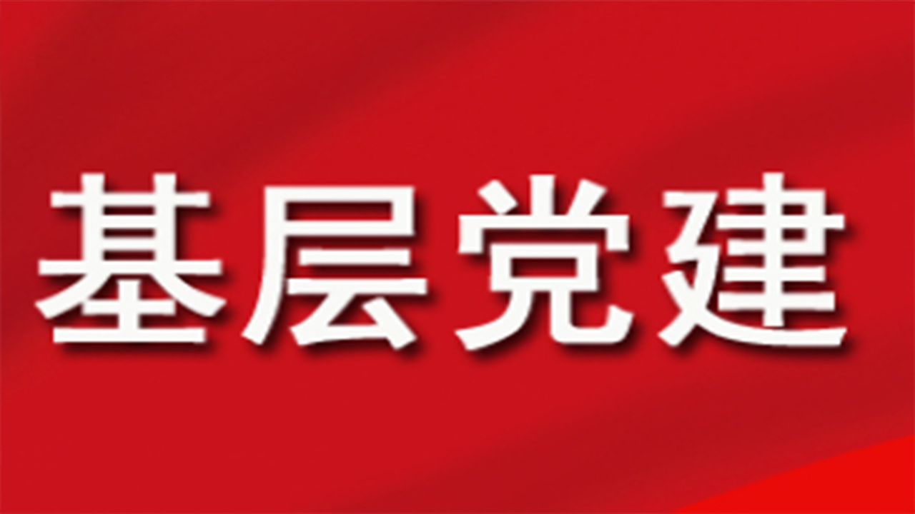 全面學習把握落實黨的二十大精神 奮力奪取全面建設社會主義現(xiàn)代化國家新勝